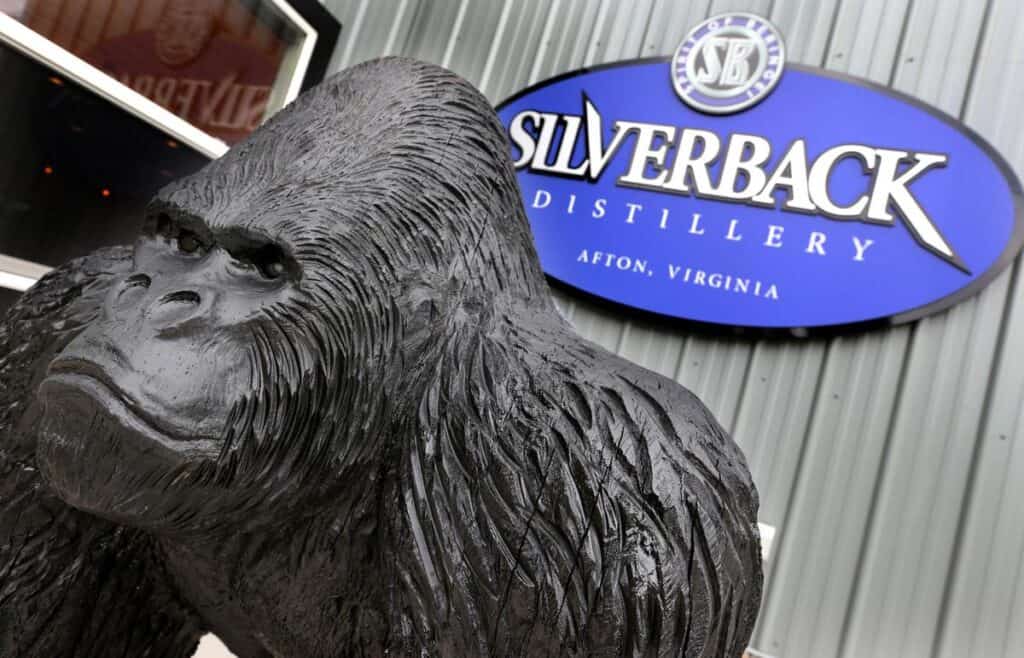Wooden Silverback gorilla in front of the Silverback Distillery.